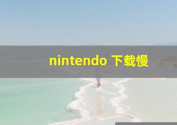 nintendo 下载慢